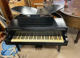 Wurlitzer Butterfly Petite Baby Grand - PhotoAug152023_95938AM