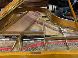 Samick Oak Grand Piano - PhotoNov132023_52837PM