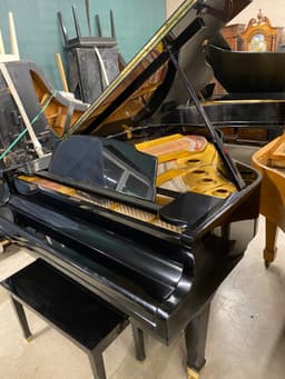 Wurlitzer G-461 Grand Piano - PhotoNov132023_54531PM