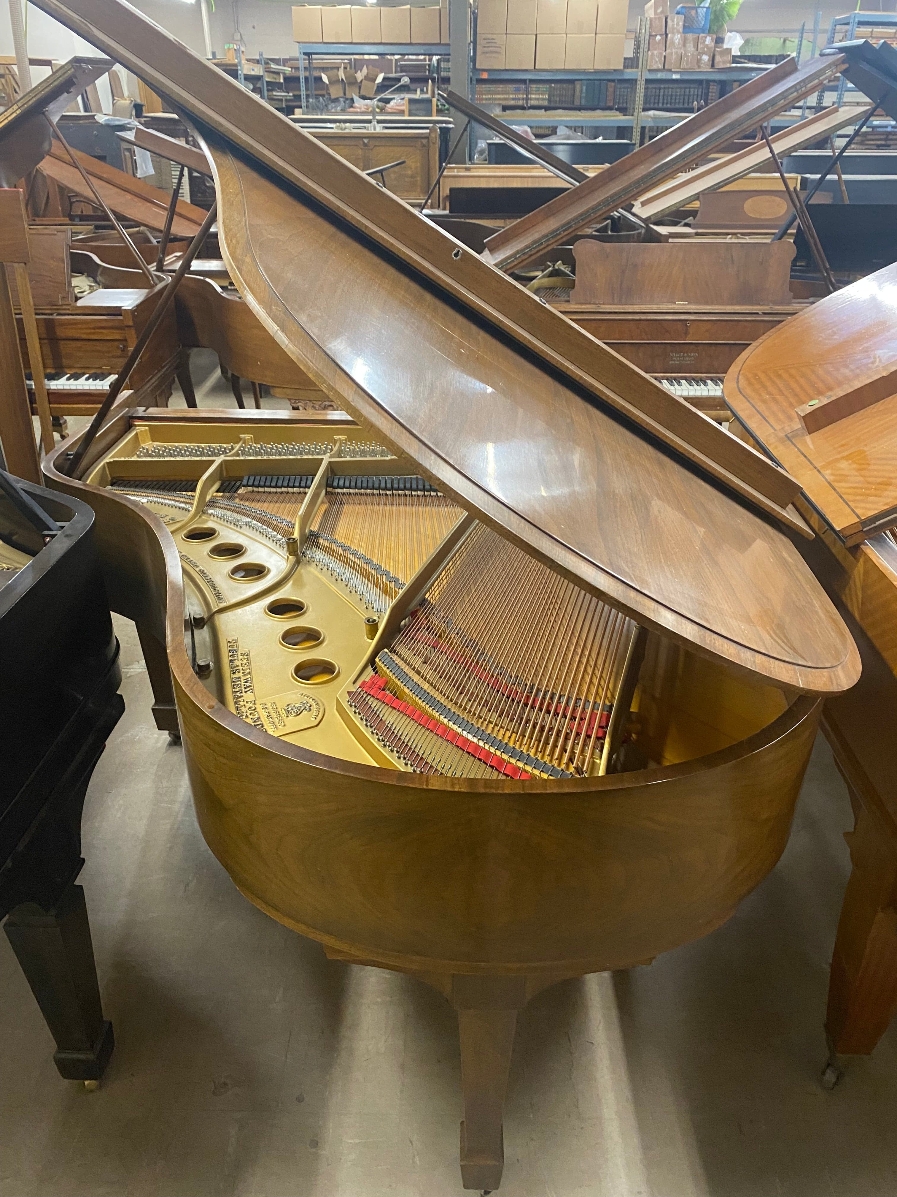 Steinway model M 5’7” circa 1924 walnut grand piano. - SteiwnayMwalnut-3_1