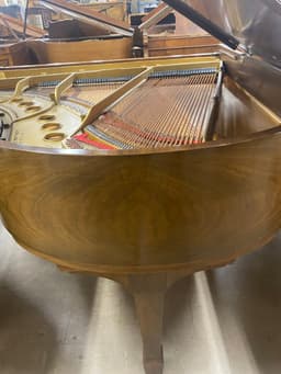 Steinway model M 5’7” circa 1924 walnut grand piano. - SteiwnayMwalnut-4_1