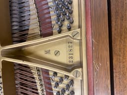 Steinway model M 5’7” circa 1924 walnut grand piano. - SteiwnayMwalnut-5_1